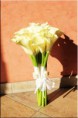 /album/svadba-male-dvorniky-kulturny-dom/img-5885-copy-jpg/